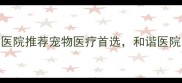 成都宠物医院推荐宠物医疗首选和谐医院口碑全