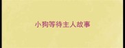 小狗等待主人故事