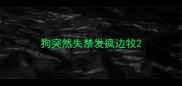 狗突然失禁发疯边牧