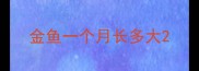 金鱼一个月长多大