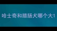 哈士奇和腊肠犬哪个大