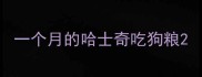一个月的哈士奇吃狗粮