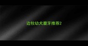 边牧幼犬磨牙推荐
