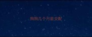 狗狗几个月能交配