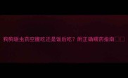 狗狗驱虫药空腹吃还是饭后吃附正确喂药指南