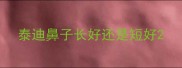泰迪鼻子长好还是短好