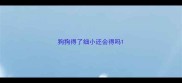 狗狗得了细小还会得吗