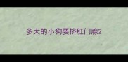 多大的小狗要挤肛门腺