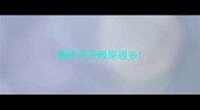 猫咪天天眼屎很多