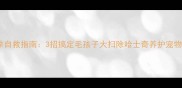 哈士奇掉毛季自救指南3招搞定毛孩子大扫除哈士奇养护宠物掉毛养狗攻略