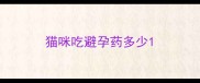 猫咪吃避孕药多少