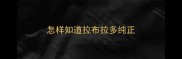 怎样知道拉布拉多纯正