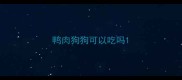 鸭肉狗狗可以吃吗