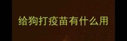 给狗打疫苗有什么用