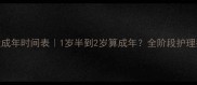 贵宾犬成年时间表1岁半到2岁算成年全阶段护理指南