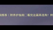10种高颜值宠物狗推荐附养护指南看完这篇再选狗附送选狗避坑秘籍
