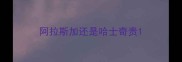 阿拉斯加还是哈士奇贵
