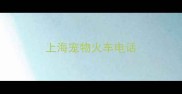 上海宠物火车电话