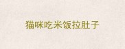 猫咪吃米饭拉肚子