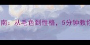 全网最全狗狗品种识别指南从毛色到性格5分钟教你快速辨别30种常见犬种
