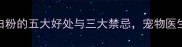 狗狗吃蛋白粉的五大好处与三大禁忌宠物医生权威解答