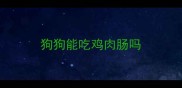 狗狗能吃鸡肉肠吗