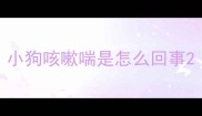 小狗咳嗽喘是怎么回事