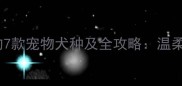 最适合女性饲养的7款宠物犬种及全攻略温柔型犬种养护指南