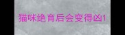 猫咪绝育后会变得凶