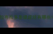 拉布拉多发烧症状有哪些