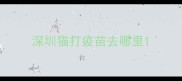 深圳猫打疫苗去哪里