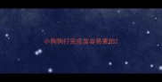 小狗狗打完疫苗容易害怕