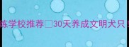 郑州专业宠物犬训练学校推荐30天养成文明犬只附最新课程体系