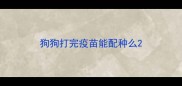狗狗打完疫苗能配种么