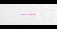狗狗打疫苗哪种好