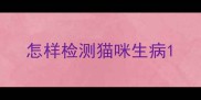 怎样检测猫咪生病