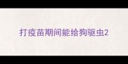打疫苗期间能给狗驱虫