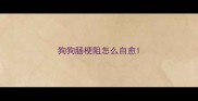 狗狗肠梗阻怎么自愈