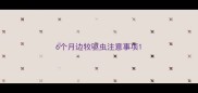6个月边牧驱虫注意事项