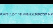 2个月大幼犬频繁吠叫怎么办3步训练法让狗狗安静下来附真实案例
