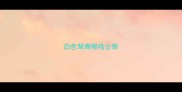 白色鸳鸯眼哈士奇