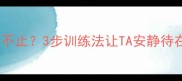 狗狗在门口狂吠不止3步训练法让TA安静待在家附止吠攻略