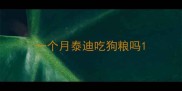 一个月泰迪吃狗粮吗