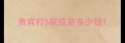 贵宾打5联疫苗多少钱