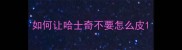 如何让哈士奇不要怎么皮