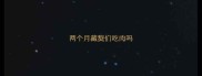 两个月藏獒们吃肉吗