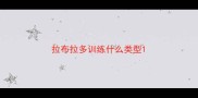 拉布拉多训练什么类型