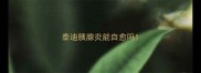 泰迪胰腺炎能自愈吗