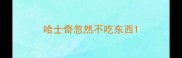 哈士奇忽然不吃东西