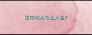 边牧幼犬专业犬舍